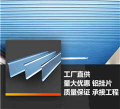 ����Ƭ����